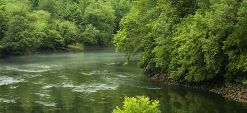 Hassayampa River Preserve